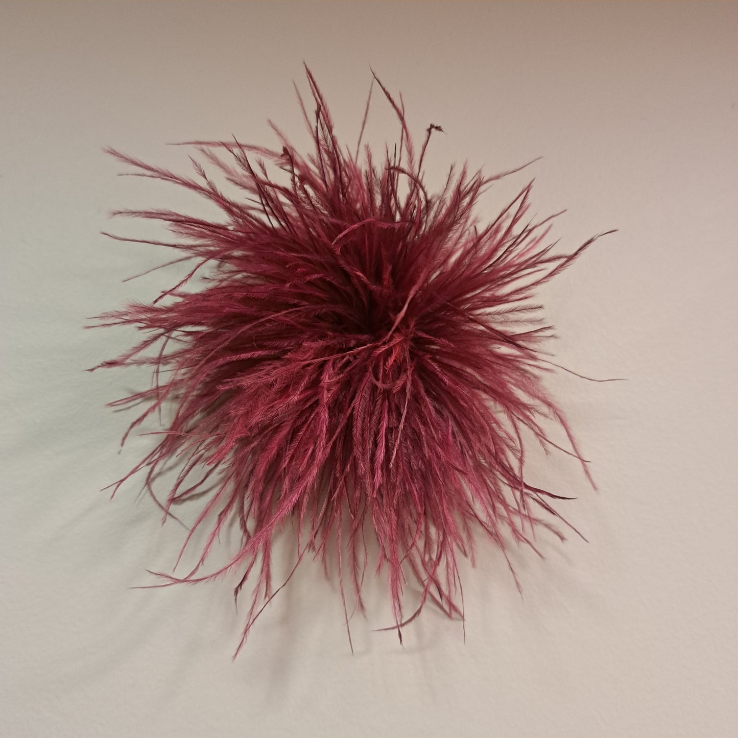 Broche Plume d'autruche bordeaux Fancy F