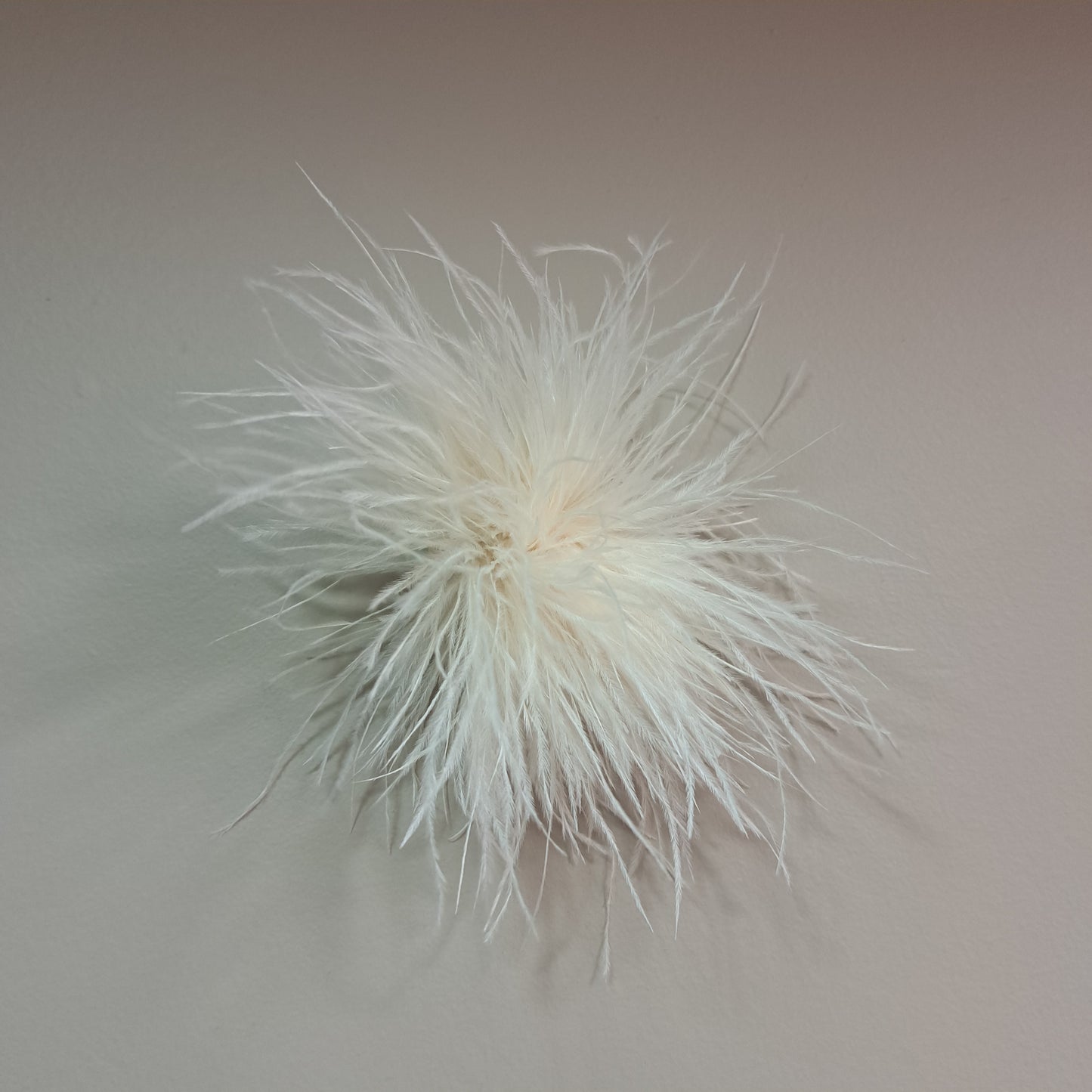 Broche Plume d'autruche écru Fancy F